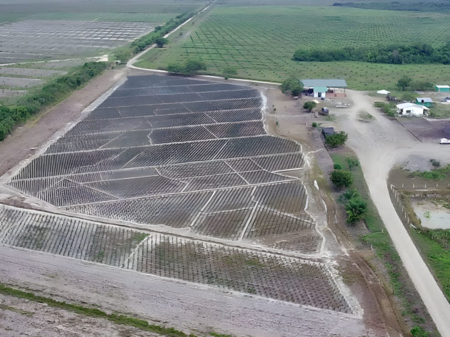 cover-Expansion-de-la-Produccion-de-Palma-Africana-en-el-Casanare