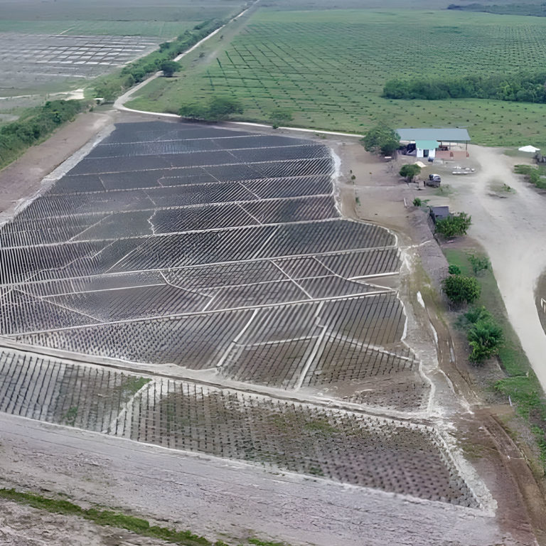 cover-Expansion-de-la-Produccion-de-Palma-Africana-en-el-Casanare
